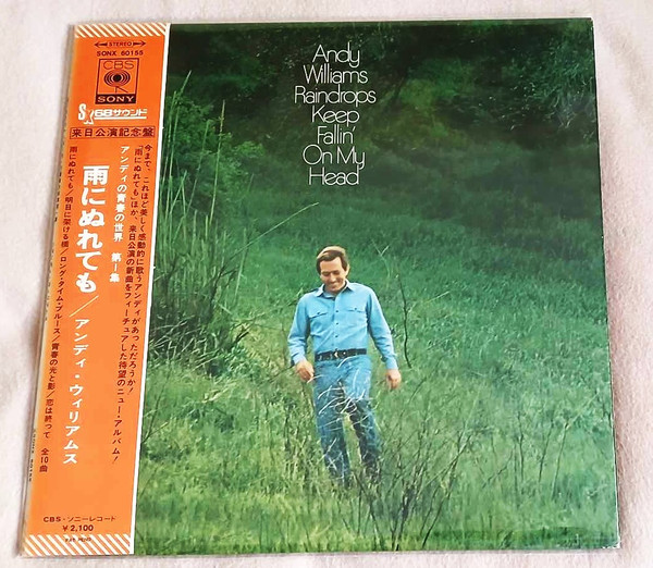Andy Williams ‎– Raindrops Keep Fallin' On My Head